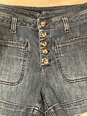 Anthropologie Pilcro and the Letterpress Denim Shorts, Sz 27